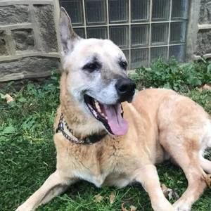 Meet your Posher, Janet